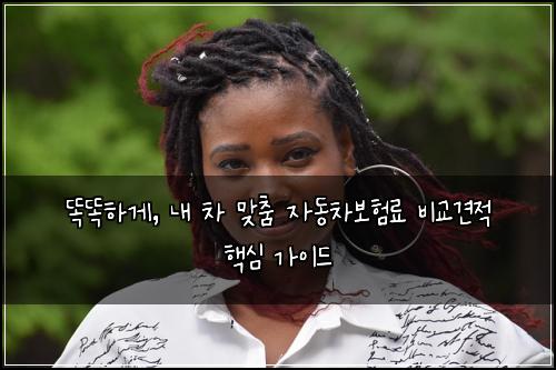  똑똑하게, 내 차 맞춤 자동차보험료 비교견적 핵심 가이드