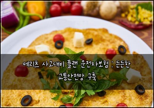 메리츠 사고대비 플랜 운전자보험 : 든든한 교통안전망 구축