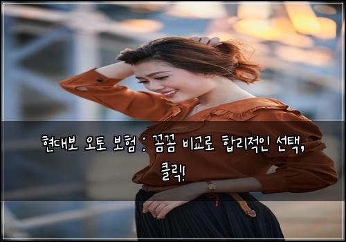 현대보 오토 보험 : 꼼꼼 비교로 합리적인 선택, 클릭!