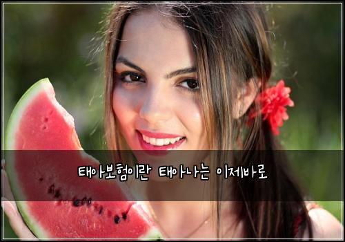 태아보험이란 태아나는 이제바로