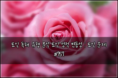 토익 독해 유형 분석 토익 성적 변동성 : 토익 문제 #757