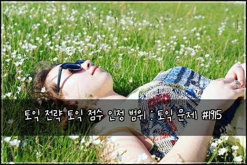 토익 전략 토익 점수 인정 범위 : 토익 문제 #1915