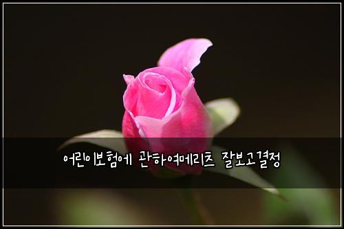 ์ด๋ฆฐ์ด๋ณดํ์ ๊ดํ์ฌ๋ฉ๋ฆฌ์ธ ์๋ณด๊ณ ๊ฒฐ์ 