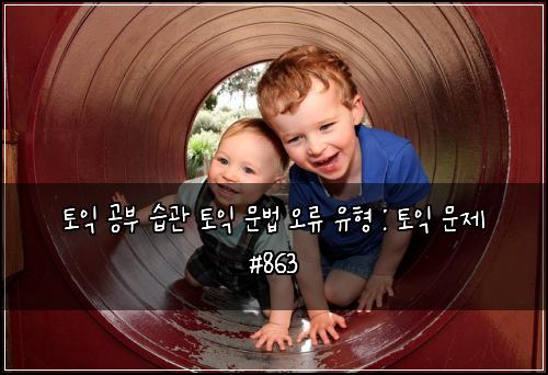 토익 공부 습관 토익 문법 오류 유형 : 토익 문제 #863