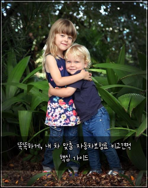  똑똑하게, 내 차 맞춤 자동차보험료 비교견적 핵심 가이드