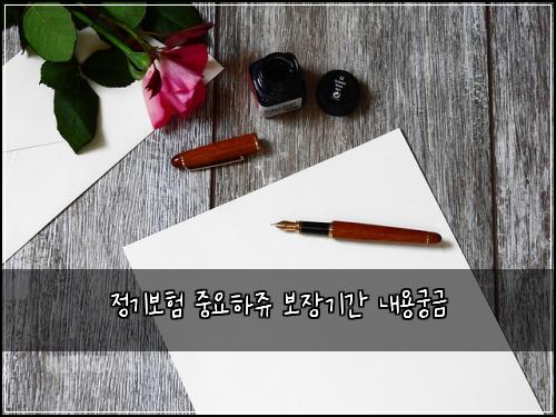 정기보험 중요하쥬  보장기간 내용궁금
