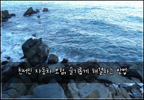 친서민 자동차 보험, 슬기롭게 해결하는 방법