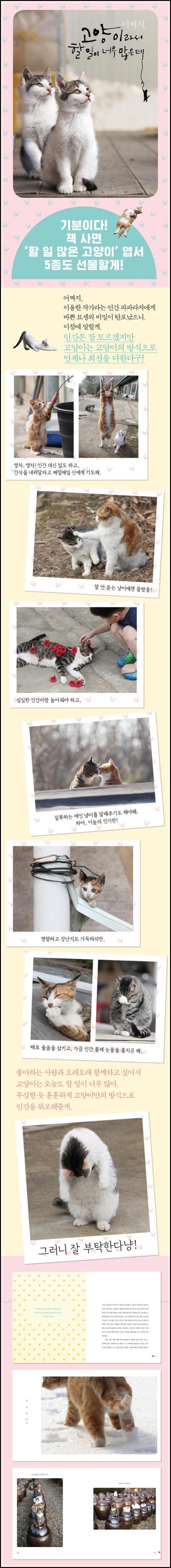 어쩌지, 냥생이 바빠 죽겠는데: 집사의 공감툰 리뷰_80