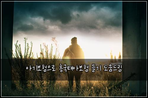 아기보험으로 흥국태아보험 들기 도움드림