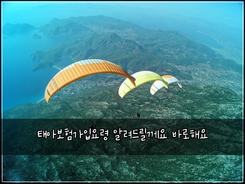 태아보험가입요령 알려드릴께요 바로해요