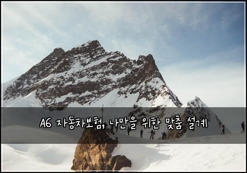 A6 자동차보험, 나만을 위한 맞춤 설계