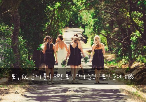 토익 RC 문제 풀이 전략 토익 단어 실력 : 토익 문제 #188