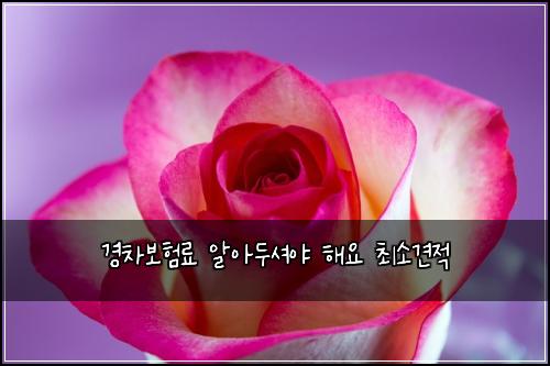 경차보험료 알아두셔야 해요 최소견적