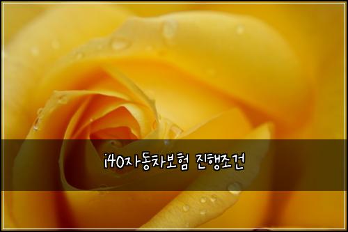 i40자동차보험 진행조건 