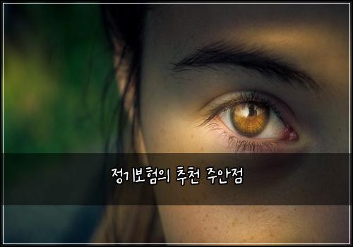 정기보험의 추천 주안점