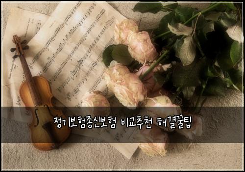 ์ ๊ธฐ๋ณดํ์ข
์ ๋ณดํ ๋น๊ต์ถ์ฒ ํด๊ฒฐ๊ฟํ
