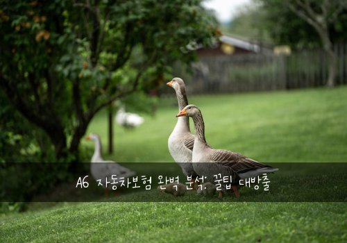 A6 자동차보험 완벽 분석: 꿀팁 대방출
