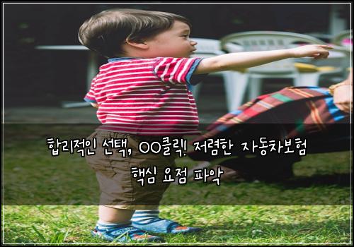  합리적인 선택, OO클릭! 저렴한 자동차보험 핵심 요점 파악