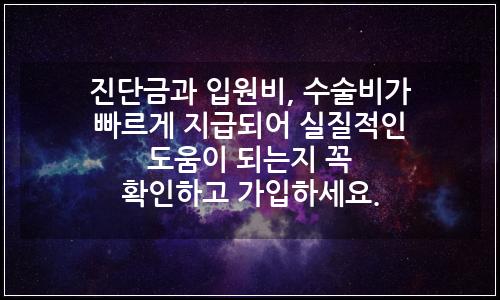 오늘의 이미지