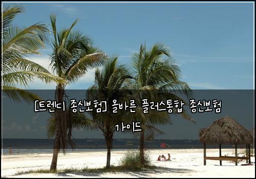  [트렌디 종신보험] 올바른 플러스통합 종신보험 가이드