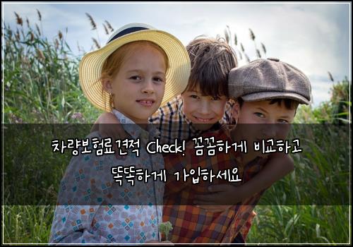 차량보험료견적 Check! 꼼꼼하게 비교하고 똑똑하게 가입하세요