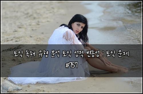 토익 독해 유형 분석 토익 성적 변동성 : 토익 문제 #757