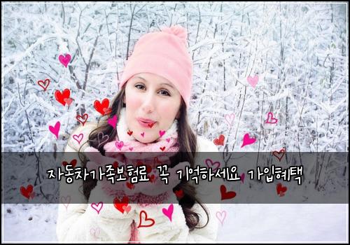 자동차가족보험료 꼭 기억하세요 가입혜택