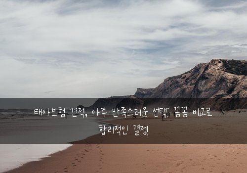 태아보험 견적, 아주 만족스러운 선택: 꼼꼼 비교로 합리적인 결정!