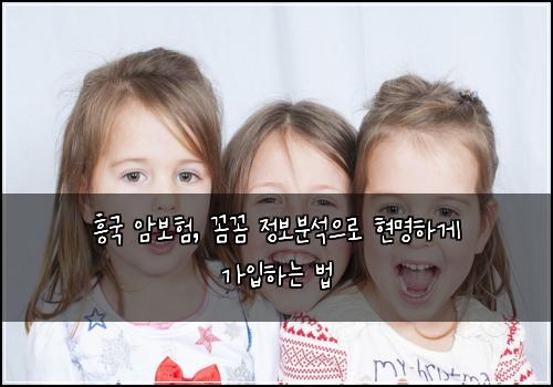 흥국 암보험, 꼼꼼 정보분석으로 현명하게 가입하는 법