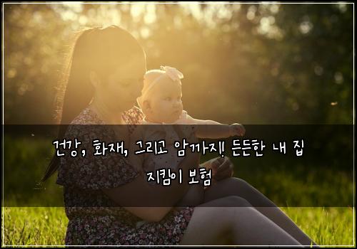  건강, 화재, 그리고 암까지! 든든한 내 집 지킴이 보험