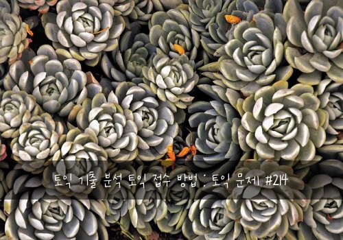 토익 기출 분석 토익 접수 방법 : 토익 문제 #214