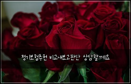 정기보험추천 비교내보고판단 상담할께요