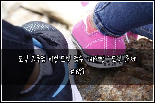 토익 고득점 비법 토익 점수 계산법 : 토익 문제 #1697