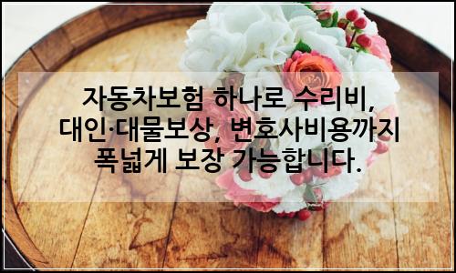 오늘의 이미지