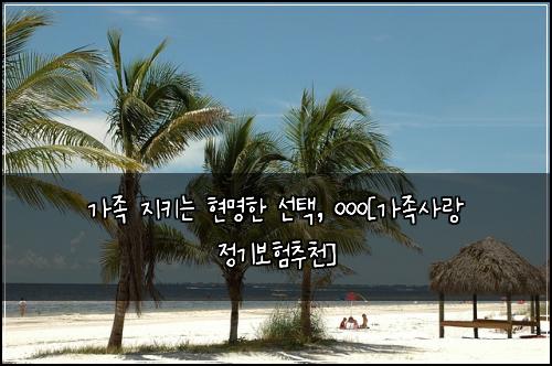 가족 지키는 현명한 선택, ㅇㅇㅇ[가족사랑 정기보험추천]