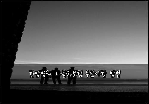 ํ๋ฐฉ๋ณ์ ์๋์ฐจ๋ณดํ ์ฐ์ ์ฌํญ ๋ฐฉ๋ฒ