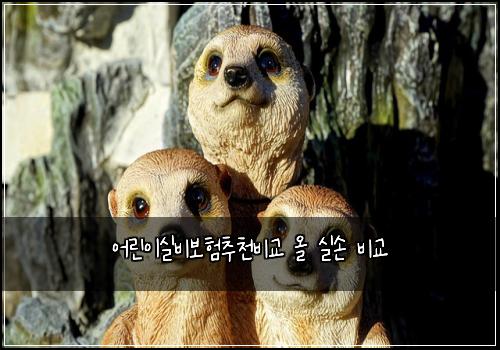 ์ด๋ฆฐ์ด์ค๋น๋ณดํ์ถ์ฒ๋น๊ต ์ฌ ์ค์ ๋น๊ต