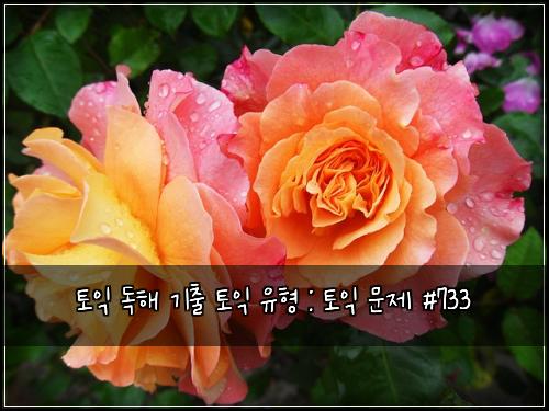 토익 독해 기출 토익 유형 : 토익 문제 #733