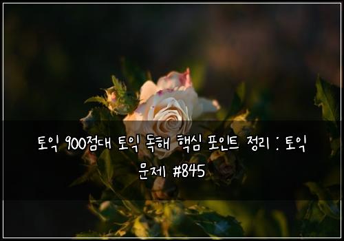 토익 900점대 토익 독해 핵심 포인트 정리 : 토익 문제 #845