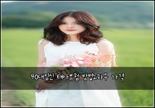 40๋์์ ํ์๋ณดํ ๋ฐฉ๋ฒ๋
ธํ์ฐ ๊ฐ๊ฒฉ