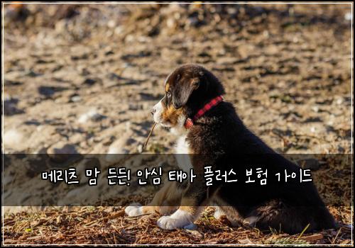 메리츠 맘 든든! 안심 태아 플러스 보험 가이드