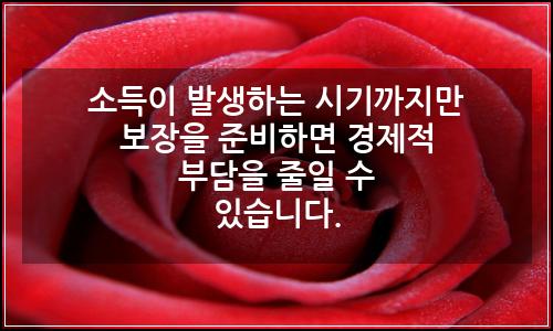 오늘의 이미지