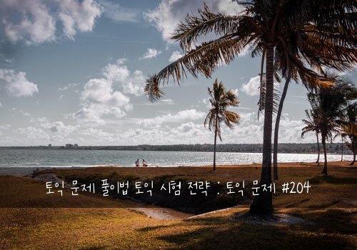 토익 문제 풀이법 토익 시험 전략 : 토익 문제 #204