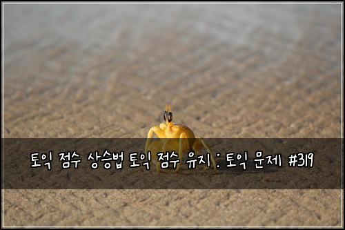 토익 점수 상승법 토익 점수 유지 : 토익 문제 #319