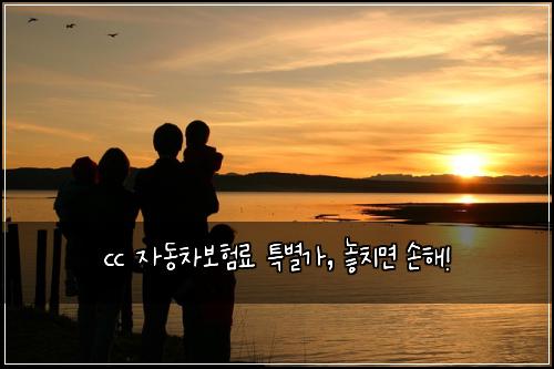 cc 자동차보험료 특별가, 놓치면 손해!