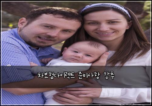 차보험다이렉트 준비사항 강추