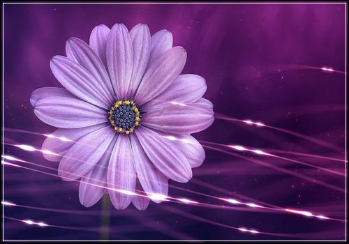 ํ ์ต RC ๊ณ ๋์ ์ ๋ต ํ ์ต ์ค๋ ฅ ์ ๊ฒ : ํ ์ต ๋ฌธ์ #135_1