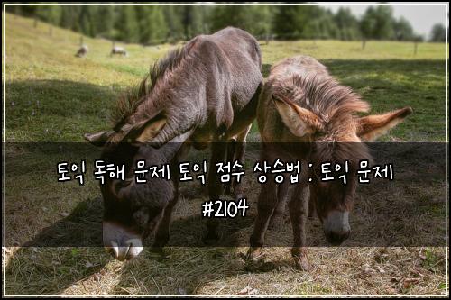 토익 독해 문제 토익 점수 상승법 : 토익 문제 #2104