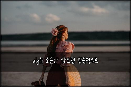 aig뉴 소문난 암보험 집중적으로 