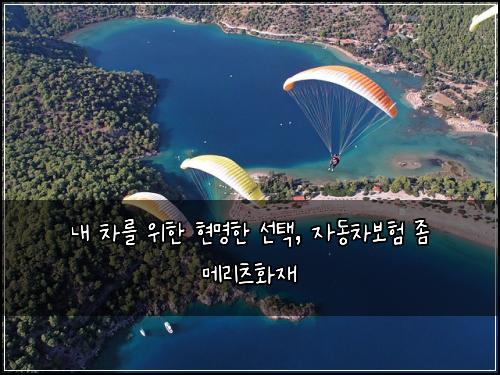  내 차를 위한 현명한 선택, 자동차보험 좀 메리츠화재